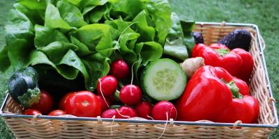 Kompleksowe wsparcie organizmu - oferta marki Osavi