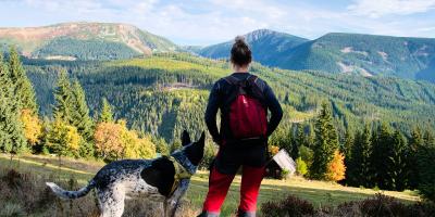 Jedziesz w góry? Pamiętaj o zasadach bezpieczeństwa