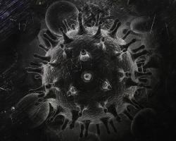 Wirus HIV – podstępny i demokratyczny