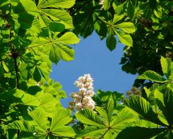 Marihuana - jak wpływa na młody organizm 