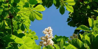 Marihuana - jak wpływa na młody organizm 