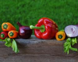 Agriculture – organic is healthier?