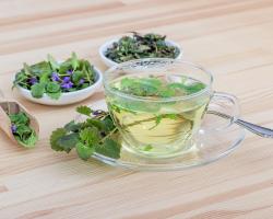 Herbs used in the treatment of colds and for improving immunity
