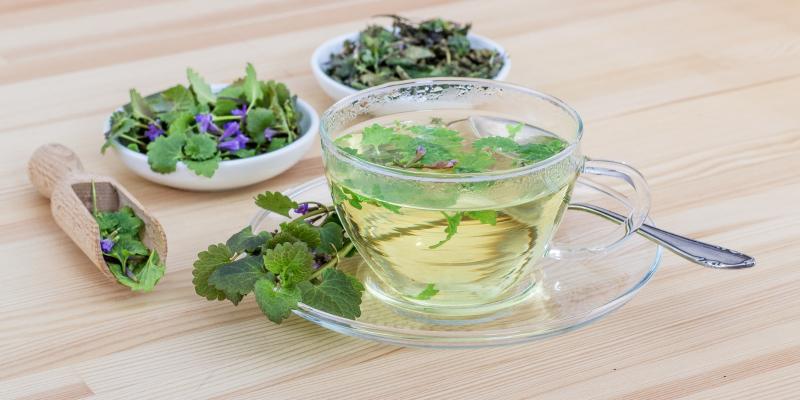Herbs used in the treatment of colds and for improving immunity