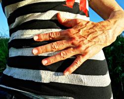 Parasites of the digestive tract - pinworms, roundworms, beef tapeworms 