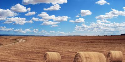 Składka zdrowotna rolników zależy od wielkości gospodarstwa 