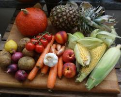 The health and nutritive benefits of fruit and vegetables