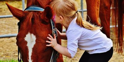 Hipoterapia, czyli konno po zdrowie 