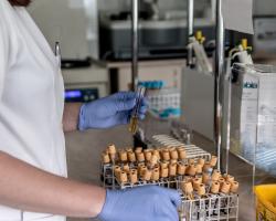 Kto może zostać diagnostą?