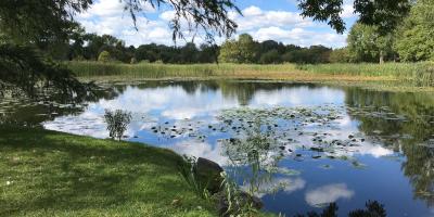 Choroba zwyrodnieniowa stawów: jak opóźnić jej rozwój 