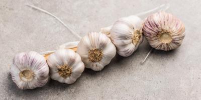Czosnek raka nie leczy, ale może przed nim chronić 