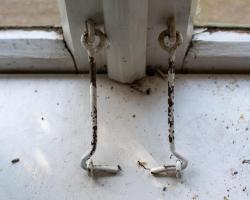 Objawem schizofrenii może być apatia