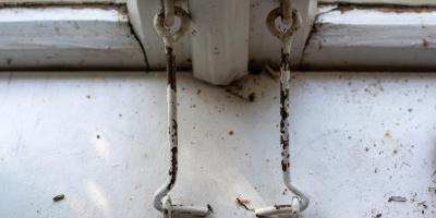 Objawem schizofrenii może być apatia