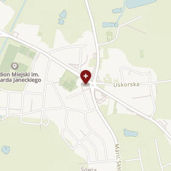 Gemini - Med na mapie