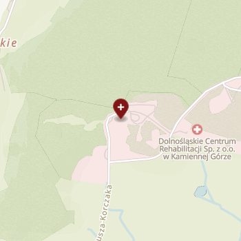 Dolnośląskie Centrum Rehabilitacji i Ortopedii na mapie