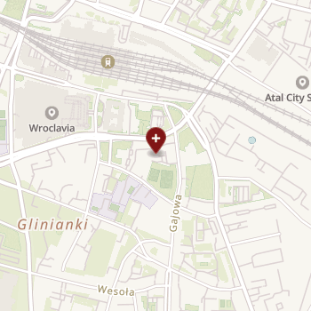 Cz Holisticmedica na mapie