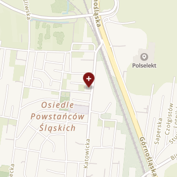 Medica Space Oddział w Pszczynie on map