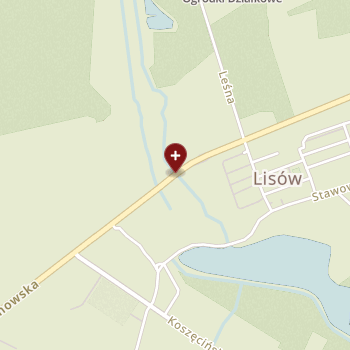 Przychodnia Lekarska przy Zakładach Metalowych "Kozamex" Zpchr on map