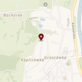 Niepubliczny Wielospecjalistyczny ZOZ Piotr Gruszczyk on map