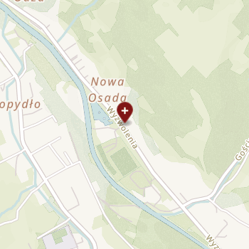 NZOZ "Dziechcinka" on map
