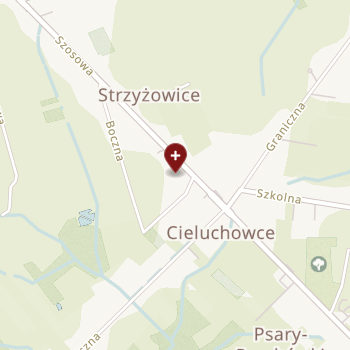 NZOZ Dental na mapie