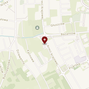 Dentestica Aleksandra Drozd na mapie