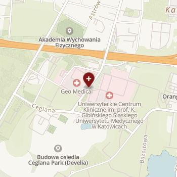 SPZOZ Ministerstwa Spraw Wewnętrznych i Administracji w Katowicach im. Sierżanta Grzegorza Załogi on map