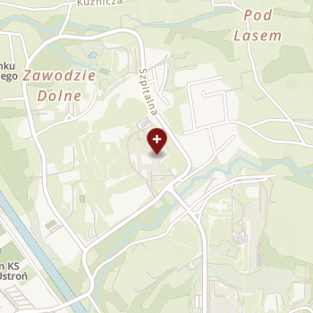 Śląskie Centrum Reumatologii im. Gen. Jerzego Ziętka w Ustroniu na mapie