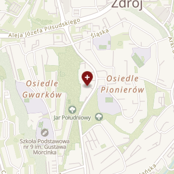 Silesia Medical Spots on map