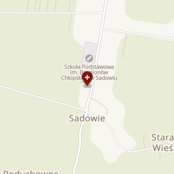 Praktyka Lekarska i Pielęgniarska na mapie