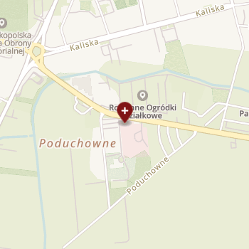 SPZOZ w Turku on map