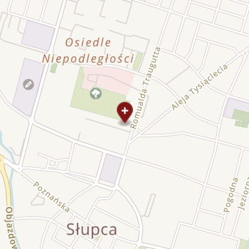 SPZOZ w Słupcy on map