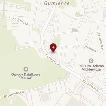 Forte-Vite Anita Joanna Szyrocka - Frukacz na mapie