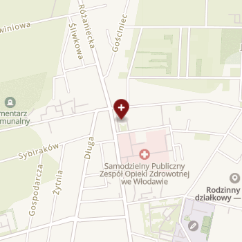 SPZOZ we Włodawie na mapie