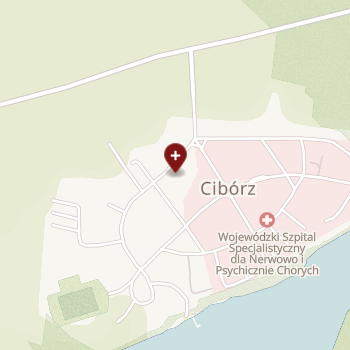 Wojewódzki Szpital Specjalistyczny dla Nerwowo i Psychicznie Chorych SPZOZ w Ciborzu on map