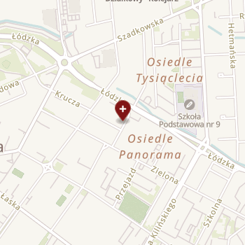 Zduńskowolski Szpital Powiatowy na mapie