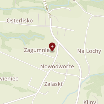 NZOZ "Medicum" Petlic on map