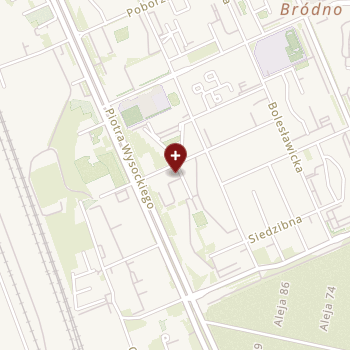 Katarzyna Zielińska Clinical Med na mapie