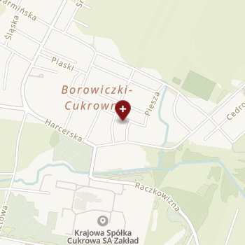 NZOZ Borowiczki on map