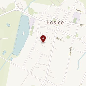 NZOZ "Eskulap" Przychodnia Lekarzy Rodzinnych Z/s w Łosicach na mapie