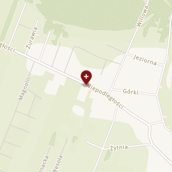 NZOZ Ber-Med. Wieliszew na mapie