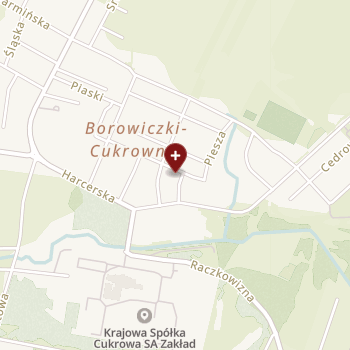 Centrum Medyczne Borowiczki on map