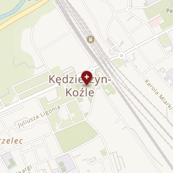 Opolskie Centrum Medycyny Pracy on map