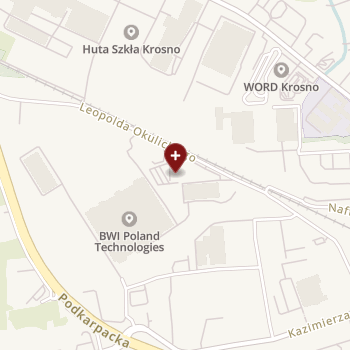 Specmed NZOZ Zespół Przychodni i Poradni Specjalistycznych na mapie