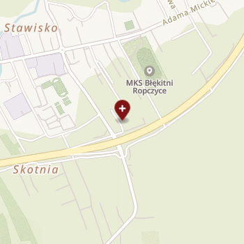 Estima Stomatologia on map