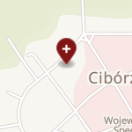 Wojewódzki Szpital Specjalistyczny dla Nerwowo i Psychicznie Chorych SPZOZ w Ciborzu na mapie