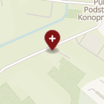 Salus Centrum Rehabilitacji i Aktywności Fizycznej na mapie